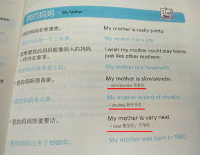 在国内 英文怎么表达? in domestic?