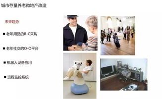 四轻的词语四轻的词语是什么