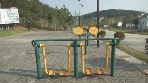 设施的意思