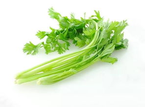 我不喜欢吃芹菜的英文，芹菜的英文名字