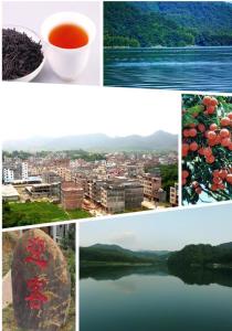 苍梧县属于哪个市，苍梧县县长