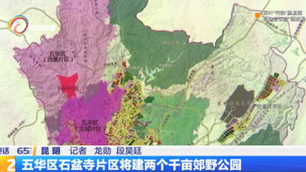 云南曲靖区号是多少号码，云南曲靖区号电话号码分机怎么写