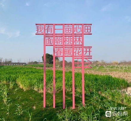 软件设施的意思，设施的意思特别好应该用什么词