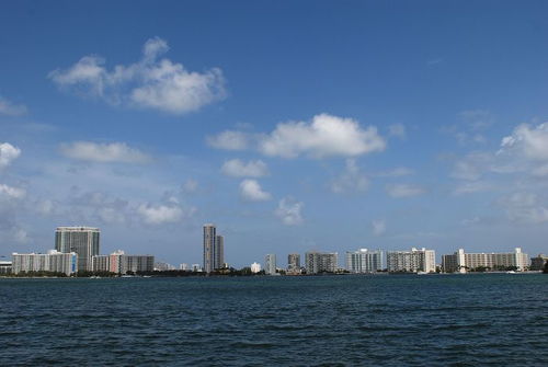 miami university，miami是什么意思