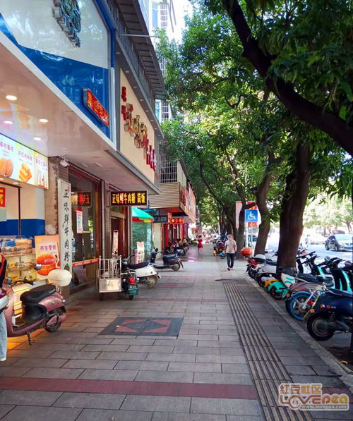 走街串巷的意思是什么?