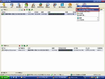 电骡和电驴有什么区别，电骡子培训心得