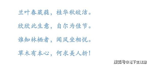 迷惘读音 迷惘读音及解释
