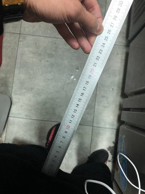 25cm多长参照图，25cm大概多大