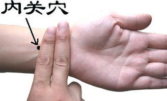 内关穴:理气宽胸,和胃降逆,宁心安神