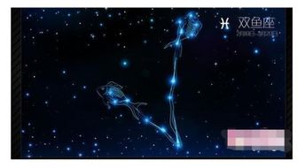 农历2月出生的是什么星座，80年2月出生的是什么星座
