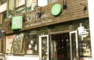 宠物店名字 有创意 有爱，霸气宠物店名字