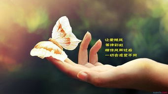 我的人生格言