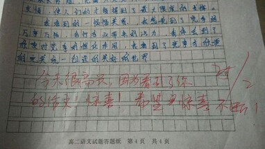 惊喜作文800字，惊喜作文开头