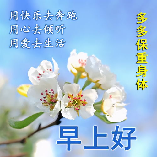 深深的祝福下一句是什么，深深地祝福还是深深的祝福
