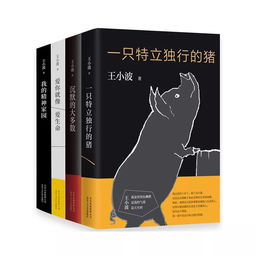 王小波作品集黄金时代，王小波作品集杂文卷