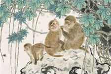 属猴的年份