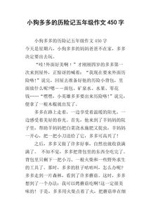 历险记小学作文