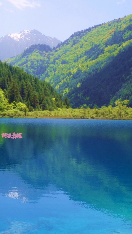 什么是大自然