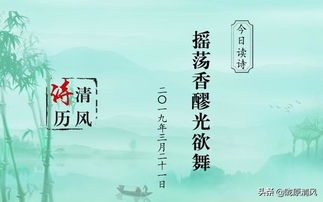 摇荡的拼音怎么写，摇晃 的拼音
