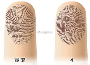 女人十个簸箕是什么意思，扫把和簸箕是什么意思