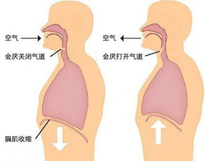 攒竹按压疼痛的原因，攒竹的准确位置图