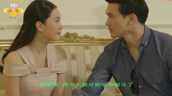 明争暗斗的意思，明争暗斗12生肖是谁