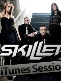 skillet翻译，skillet pan
