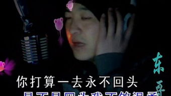 是不是因为我不够温柔歌词，是不是因为我不够温柔你才会离我远走