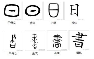 戴是什么结构的字部首再查多少画，戴是什么结构的字组词