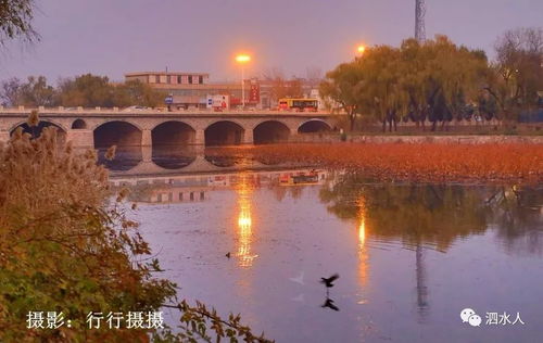 济河焚舟说的是谁