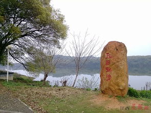孔目湖，孔目湖琴会