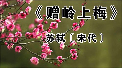 《赠岭上梅》的注释和赏析以及整首诗的意思