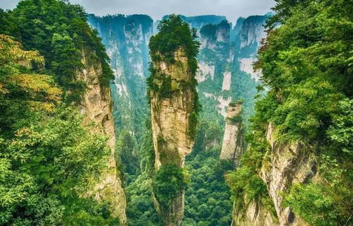 张家界海拔高吗，张家界海拔高度多少米