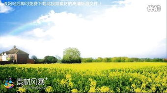 成龙唱的油菜花开头音乐是什么乐器演奏的