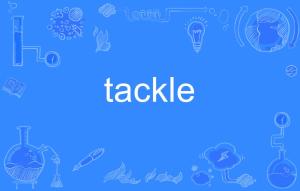 tackle是什么意思
