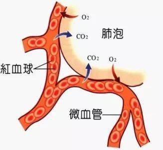 气喘是什么原因引起的，气喘咳嗽