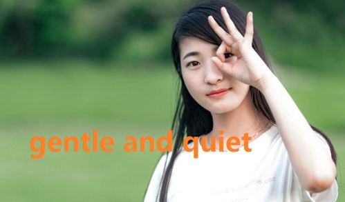 安静的英文怎么说，聪明文静的英文