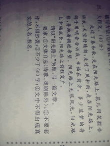 阳光路上作文500字初中，阳光路上作文800字初中叙事