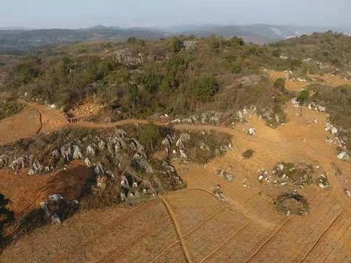 石漠化主要分布在什么地区