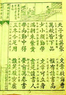 《爸爸教我读中国诗》的文中引用了了很多古诗,这些古诗有什么共同点