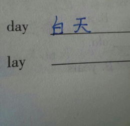 lay是什么意思