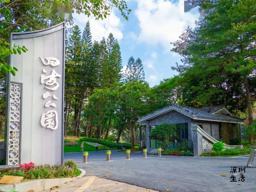 深圳四海公园可以放生龟吗