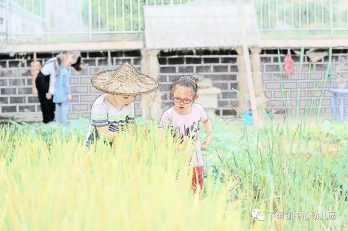 大儿锄豆溪东,中儿正织鸡笼.最喜小儿无赖,溪头卧剥莲蓬.是什么意思