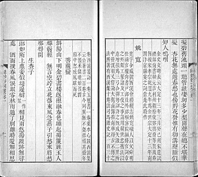 词的拼音，词典用英语怎么说