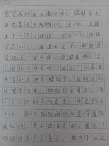 大全作文300字