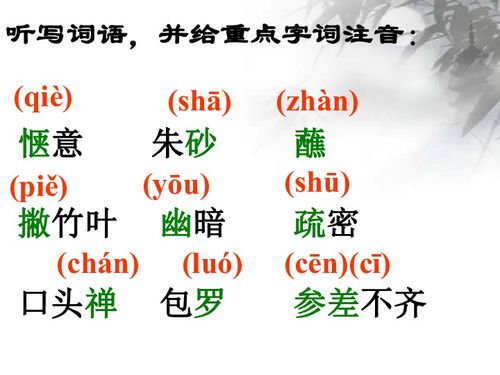 观舞记PPT