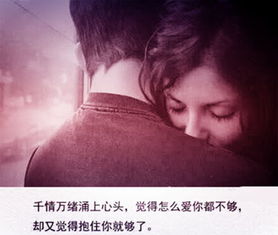 你不能爱我的歌词
