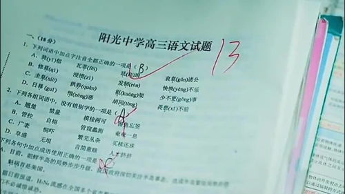 成果 什么意思