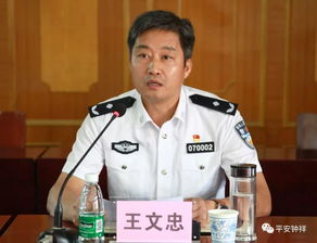 王文中教授，王文中子颂古诗