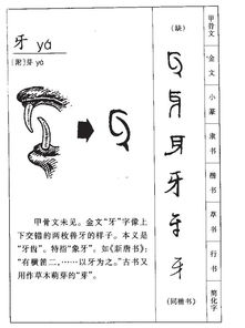 牙可以组什么词语